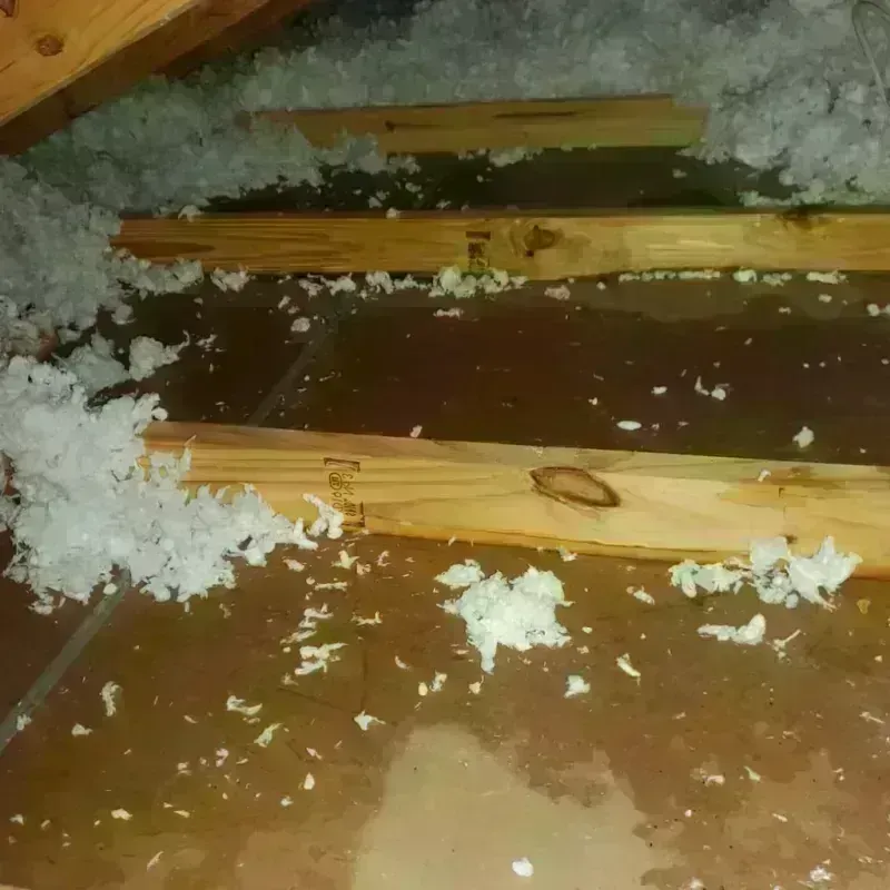 Attic Water Damage in Clarkston, GA