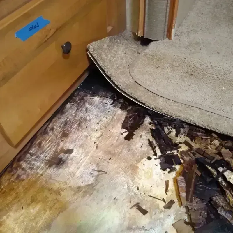 Wood Floor Water Damage in Clarkston, GA